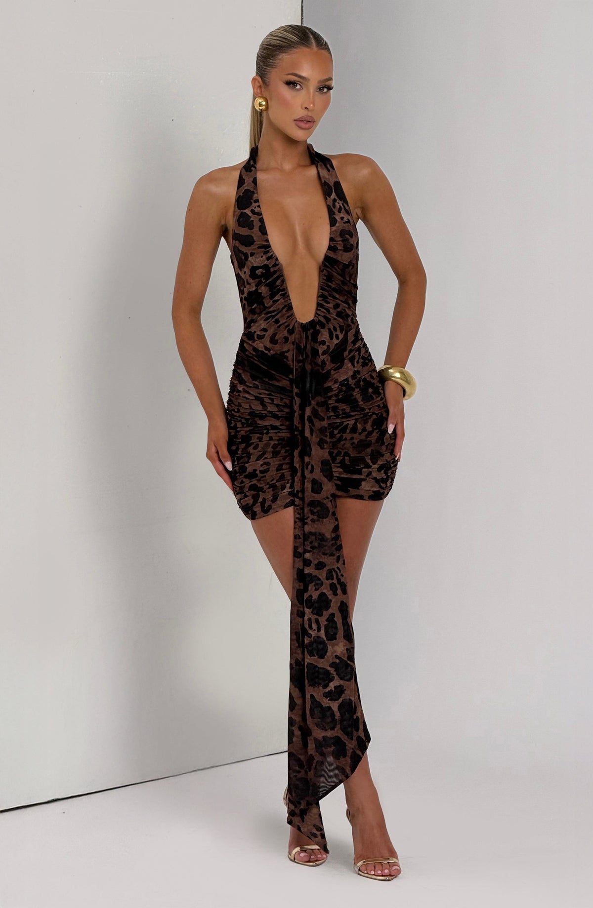 Women's Dress Rosetta Mini Leopard Print Mesh Party